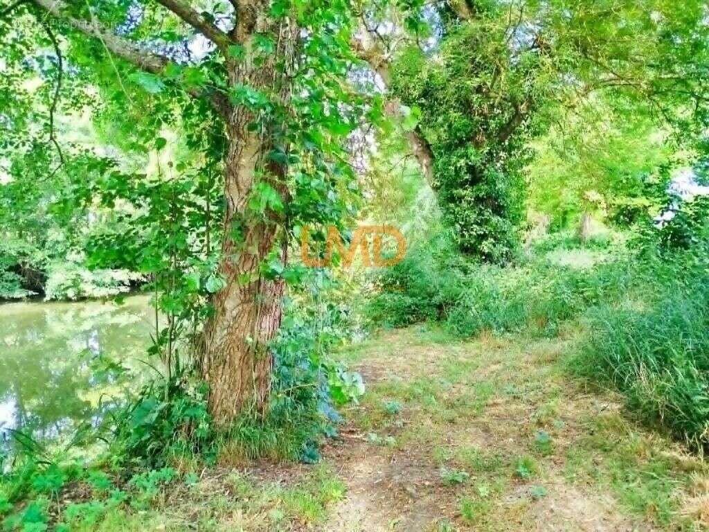 Terrain naturel 5 297 m² à Martizay – 2 €/m² – Idéal loisirs & n - photo 2