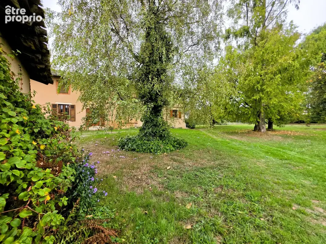 Ferme bressane avec 4551 m2 entierement constructible 15 minutes de macon - photo 11