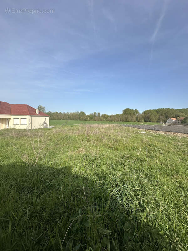 Terrain à LES ORMES-SUR-VOULZIE