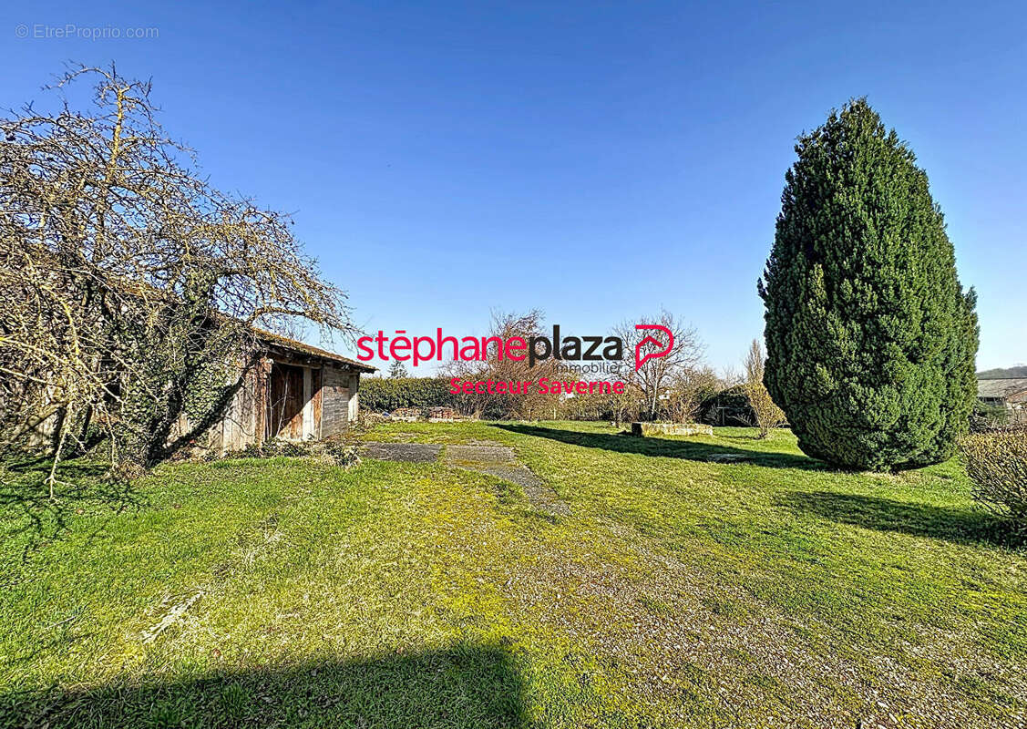 Maison à SAVERNE