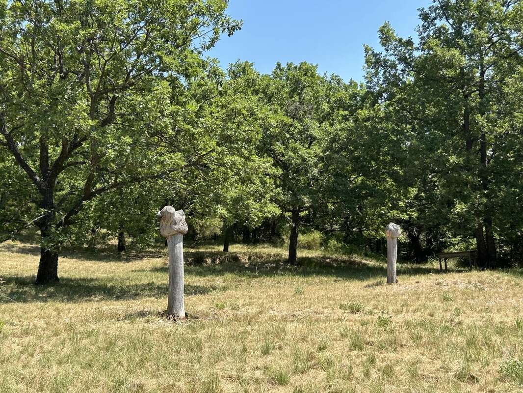 EXCLUSIVITÉ Maison en pierre 335m2 avec 1ha - 04 Alpes-de-Haute-Provence - photo 47