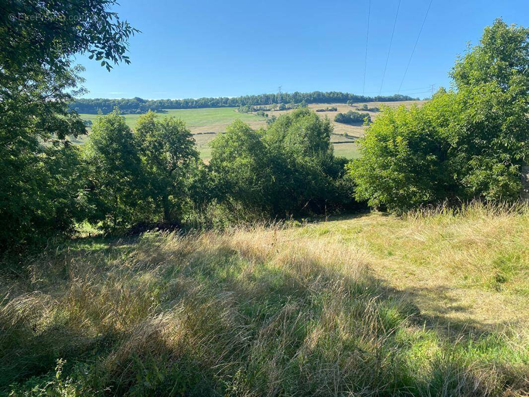 Terrain à GRENANT-LES-SOMBERNON