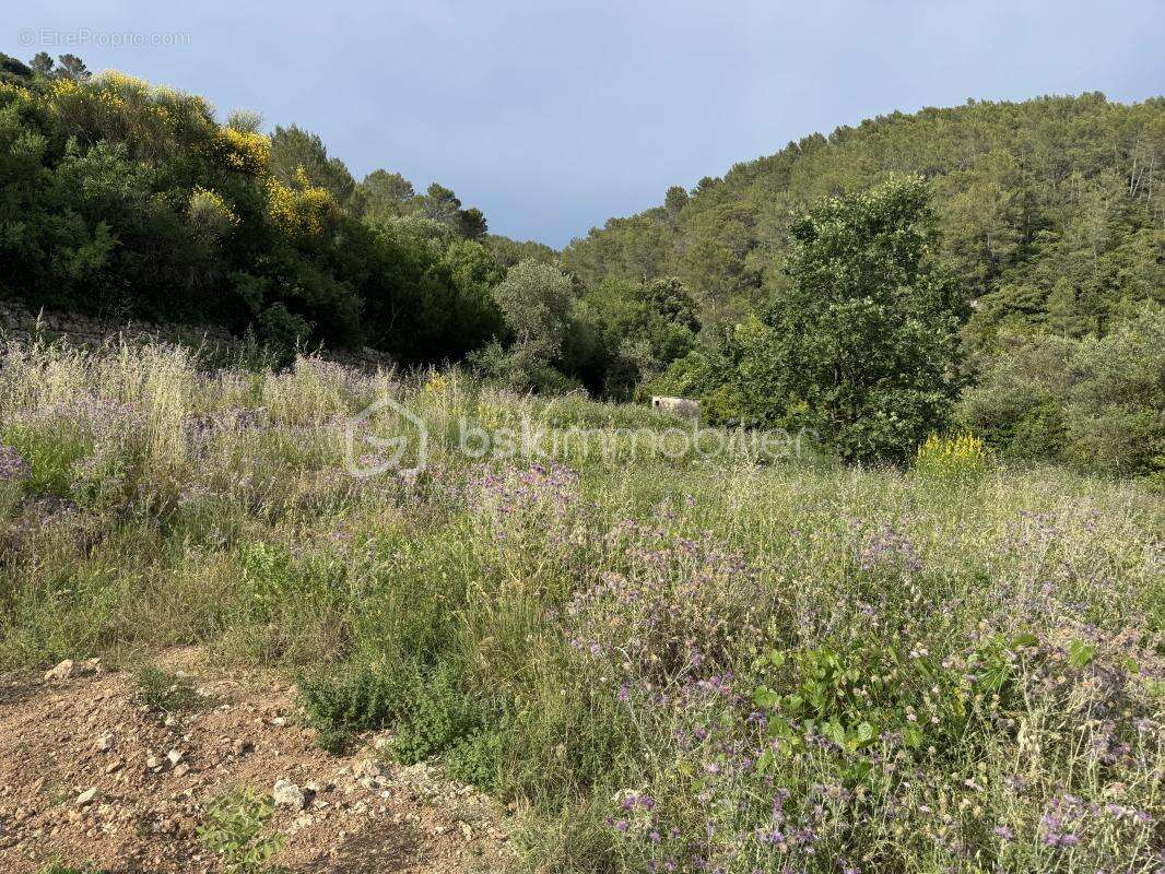 Terrain à BELGENTIER
