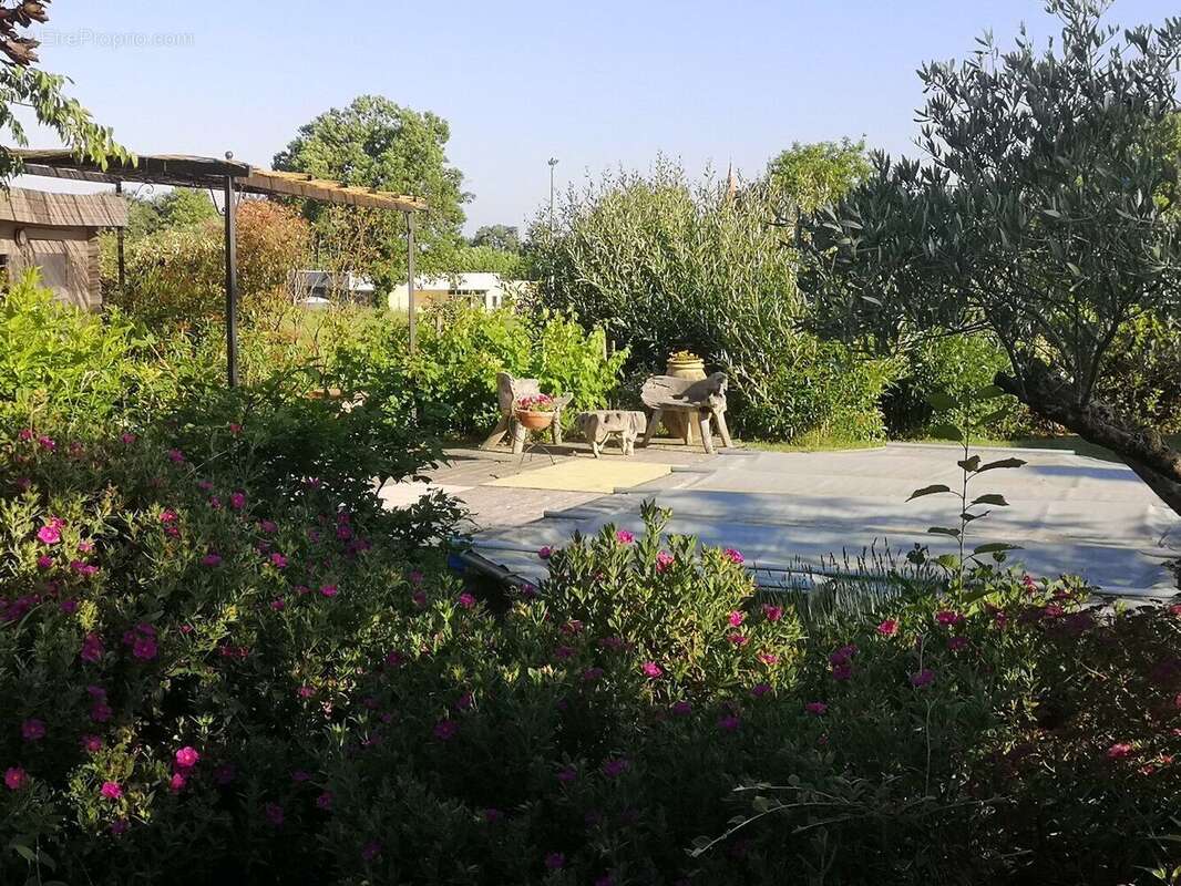 Photo 6 - Maison à SAINTE-FOY-D'AIGREFEUILLE