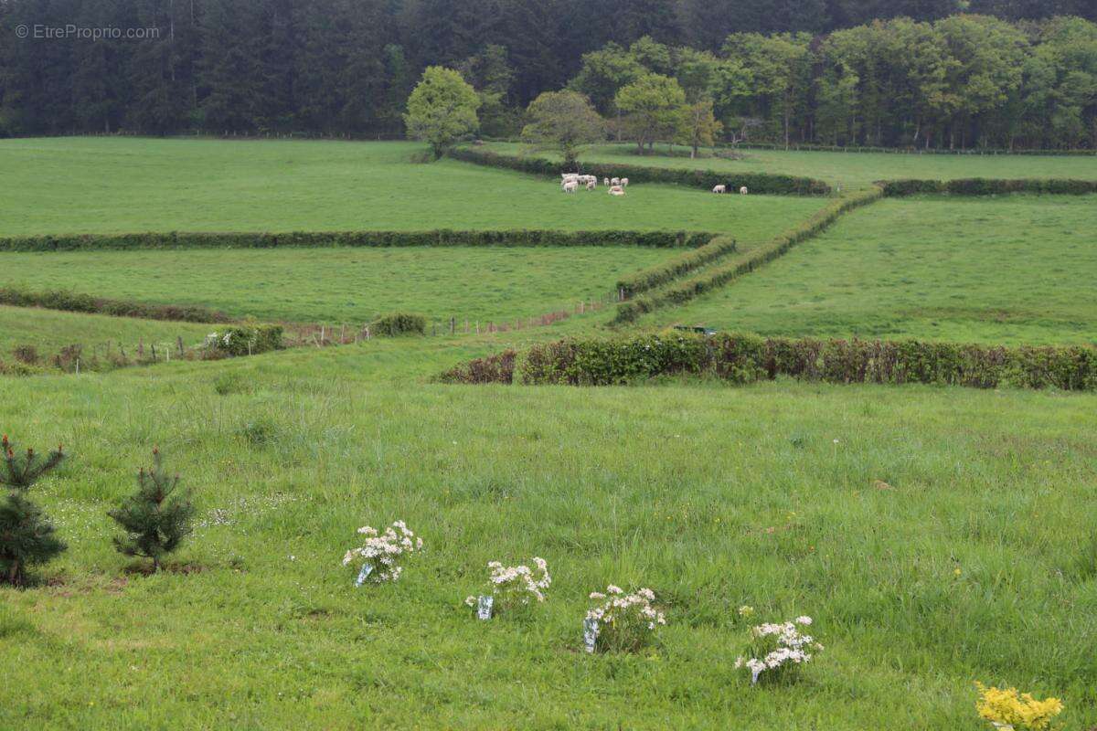 Maison à SAINT-HILAIRE-EN-MORVAN