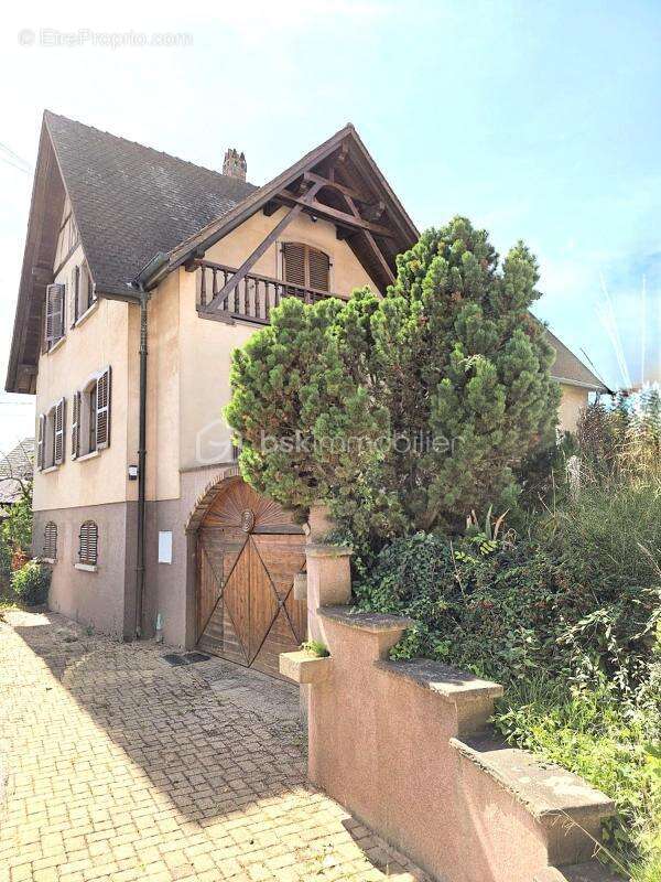 Maison à RIBEAUVILLE