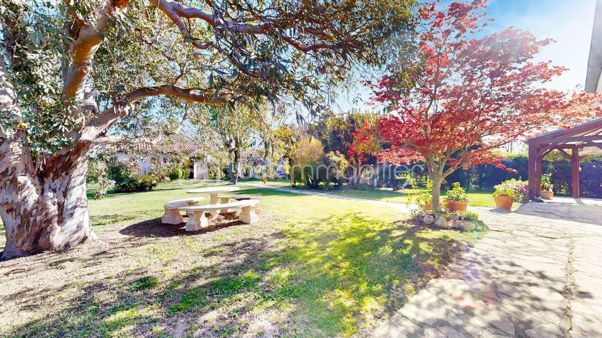 Havre de paix : grande maison familiale et son magnifique jardin - photo 3