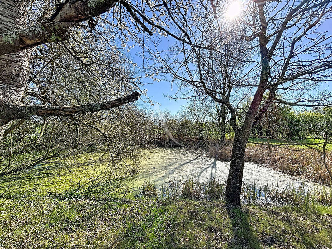 Maison à SAINT-AUGUSTIN-DES-BOIS