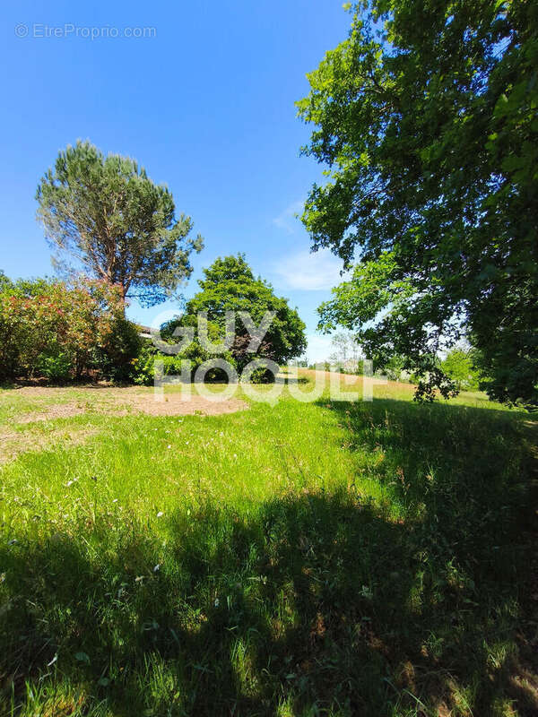 Maison à GRENADE-SUR-L'ADOUR