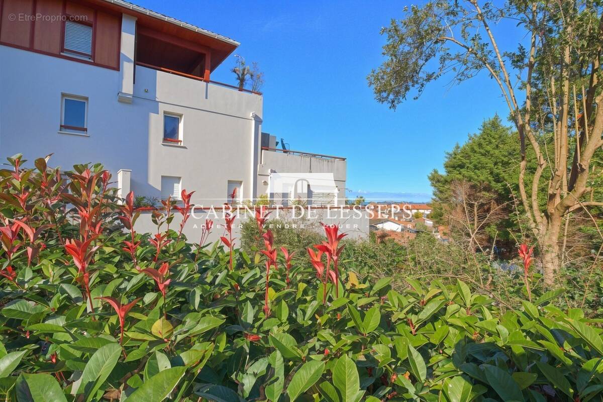 Appartement à SAINT-JEAN-DE-LUZ