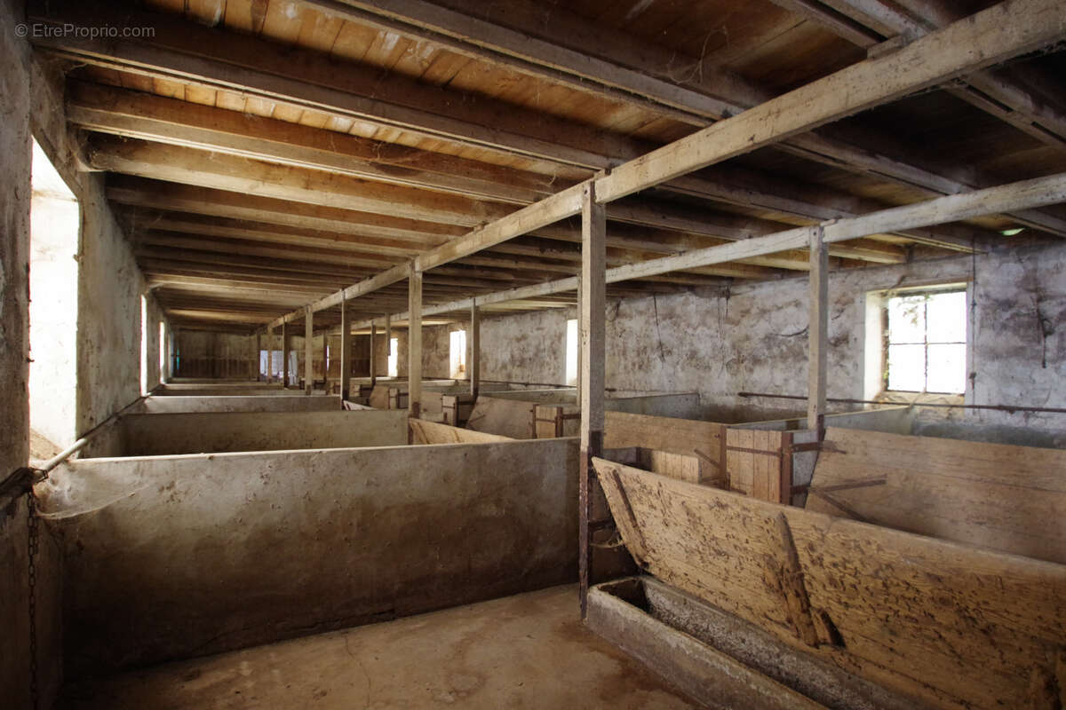 Maison à AIGREFEUILLE-D&#039;AUNIS