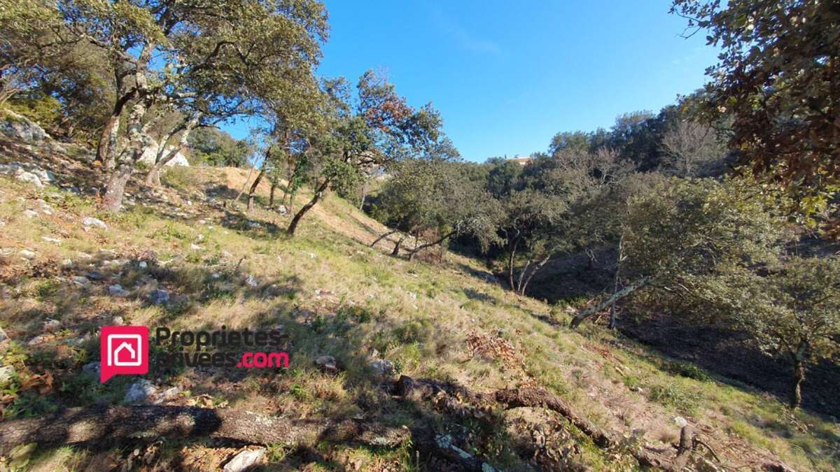 Terrain à UZES