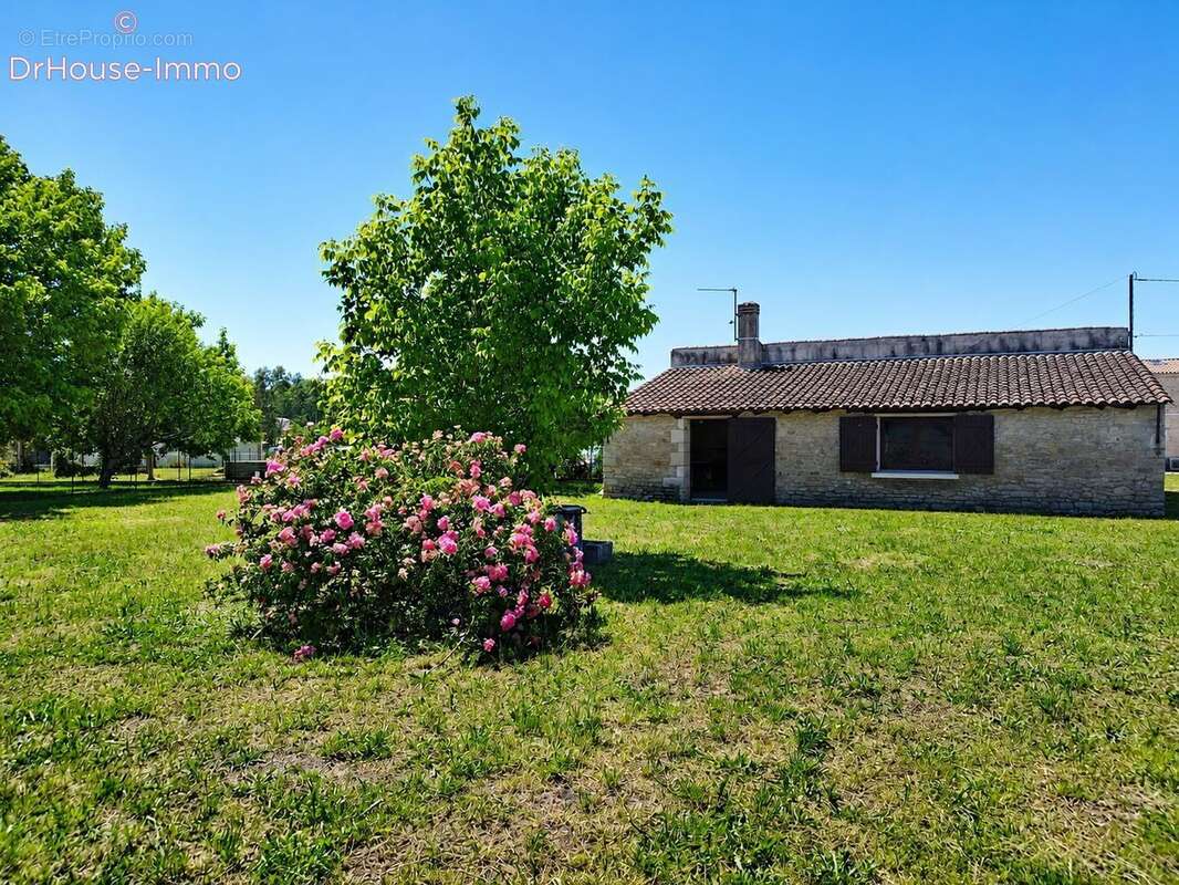 Maison 180 m² à Etauliers  - photo 14