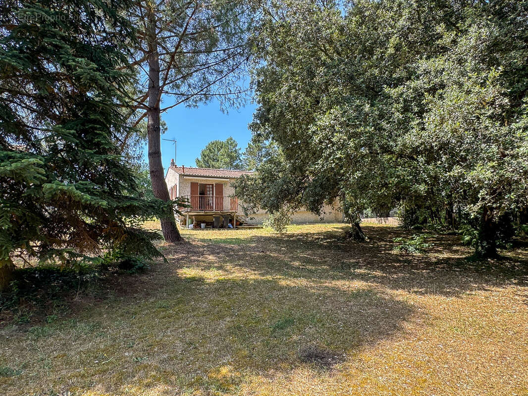 Terrain 1500 m² à Saint-Palais-Sur-Mer  - photo 5
