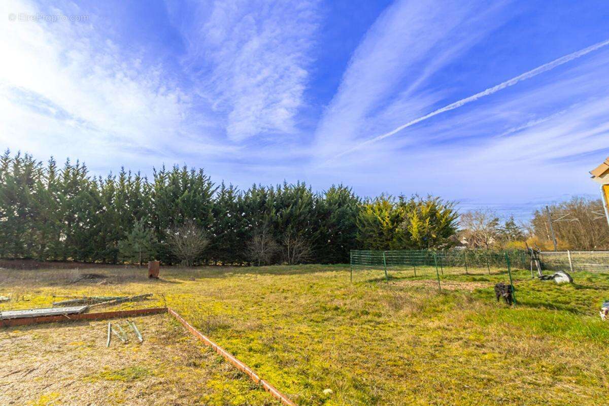 Maison à SELLES-SUR-CHER