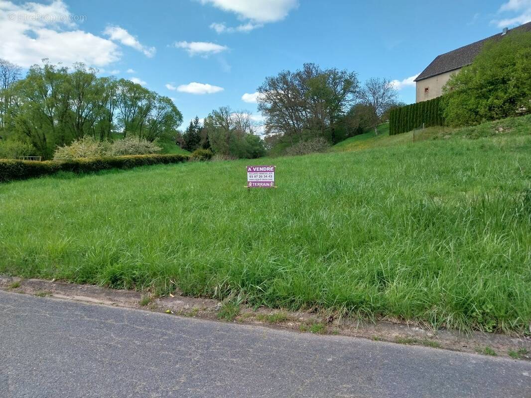 Terrain à VOLMUNSTER