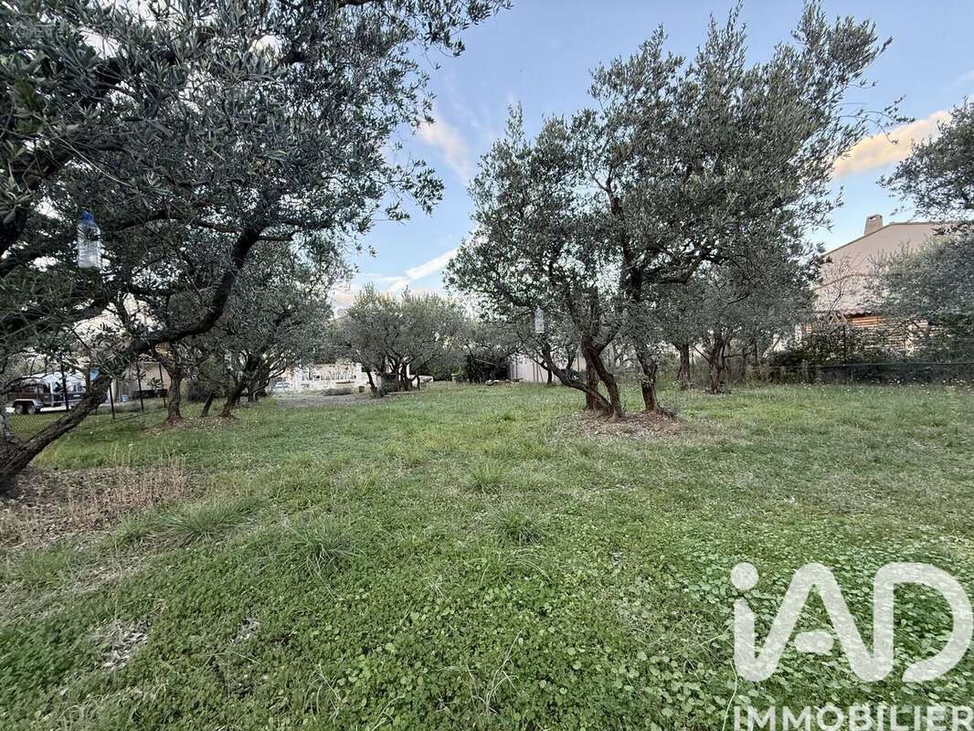 Photo 3 - Maison à CAVAILLON