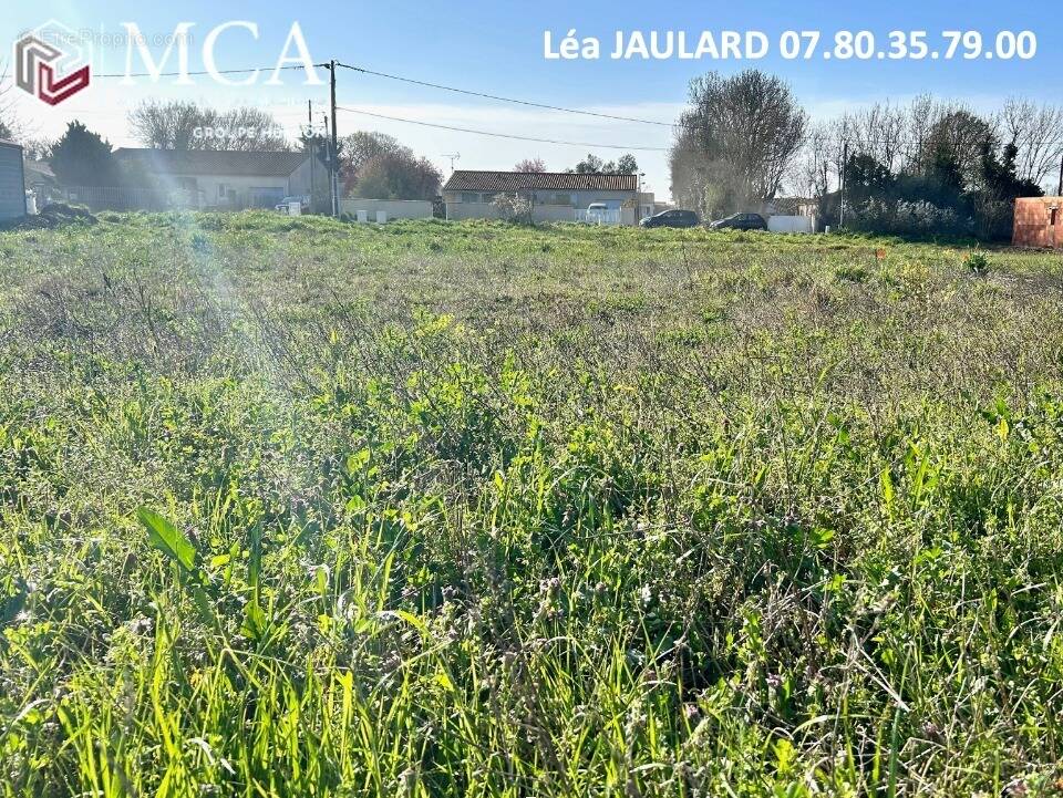 Terrain à BALLON