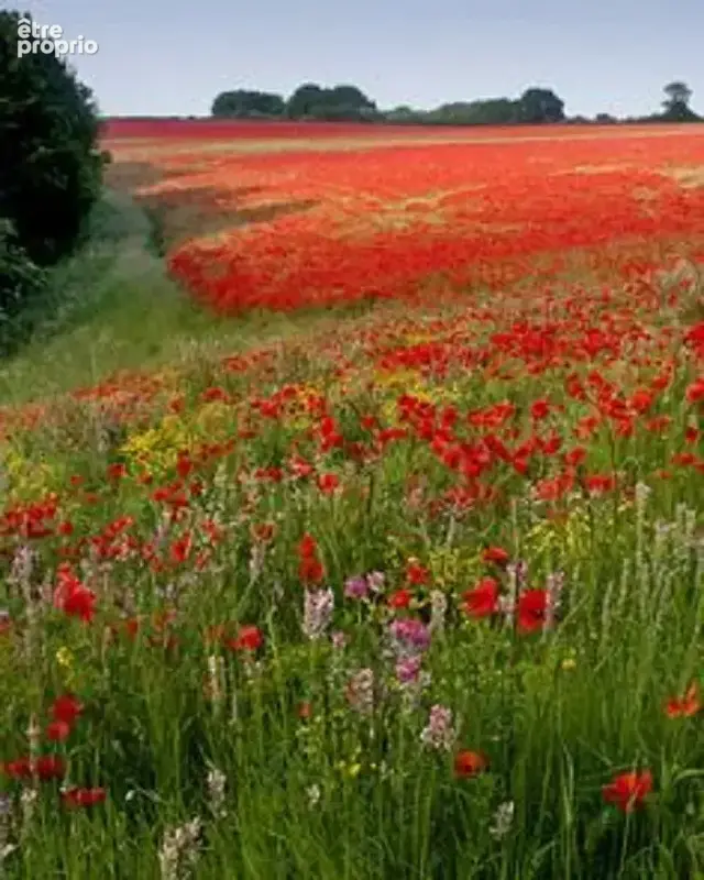 Terrain à AZAY-SUR-CHER
