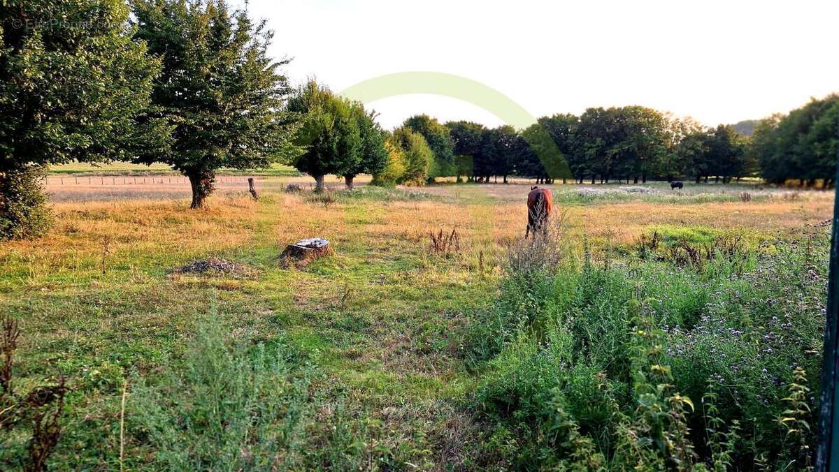Maison à LA FLAMENGRIE