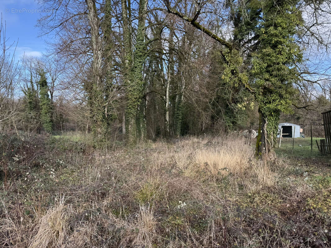 Terrain à SAINT-PHAL