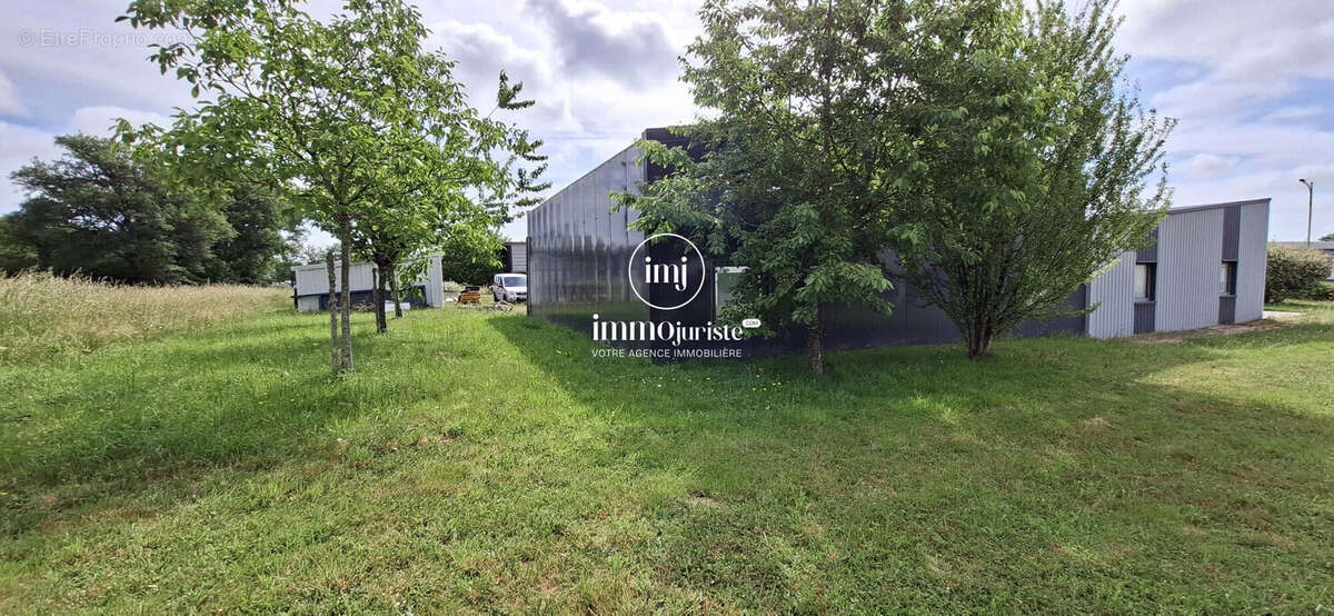 Commerce 380 m² à Couzeix  - photo 6
