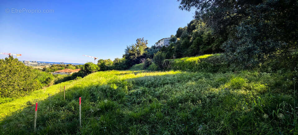 Terrain à SAINT-LAURENT-DU-VAR