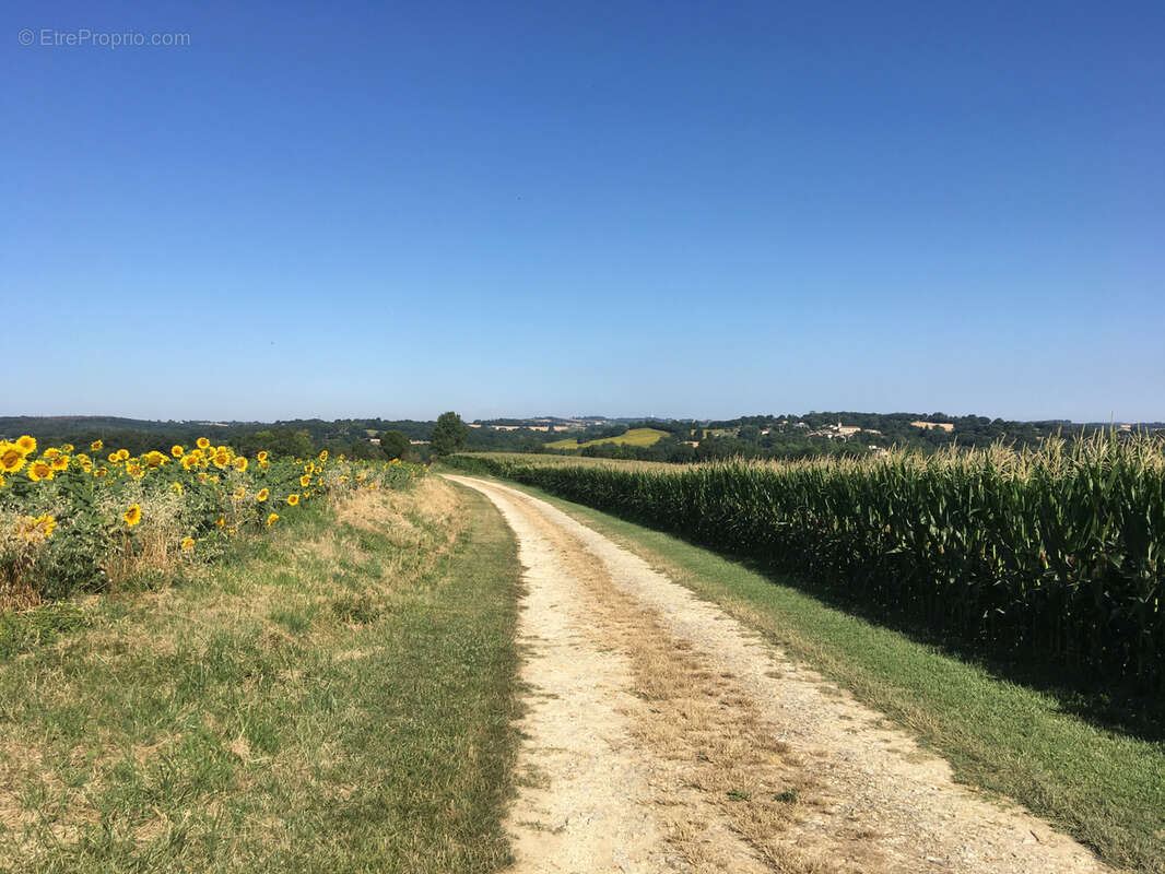 Maison de campagne avec dépendances - photo 17