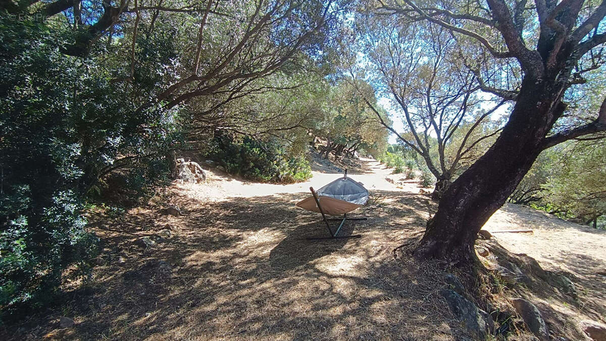 Propriété Exceptionnelle en Corse au bord du Golfe du Valinco - photo 13