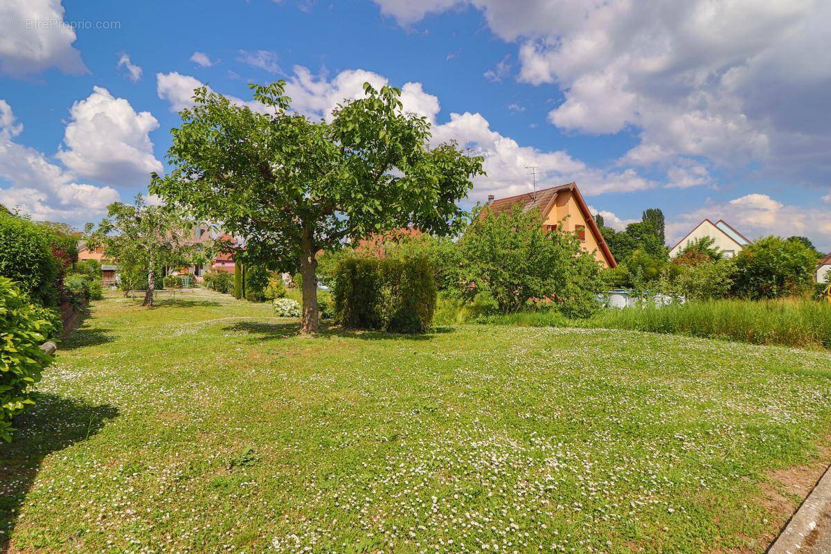 Terrain à HATTSTATT