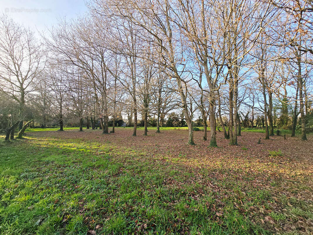 Terrain à SAINT-MOLF