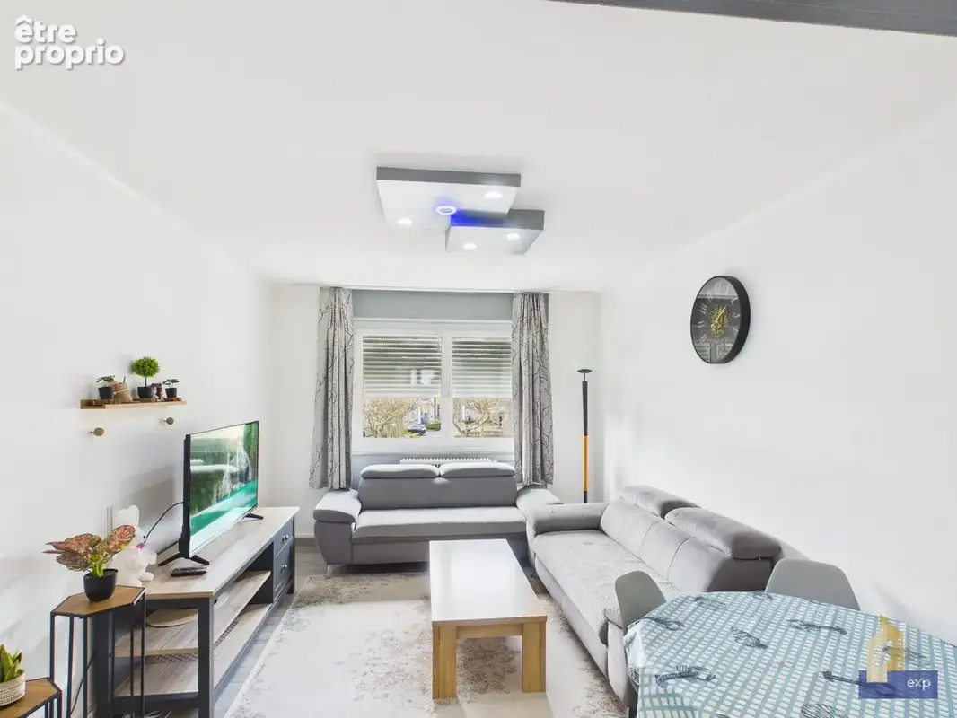 salon lumineux - Appartement à COLMAR