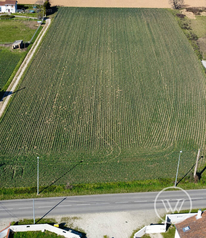 Terrain à BEAUREPAIRE