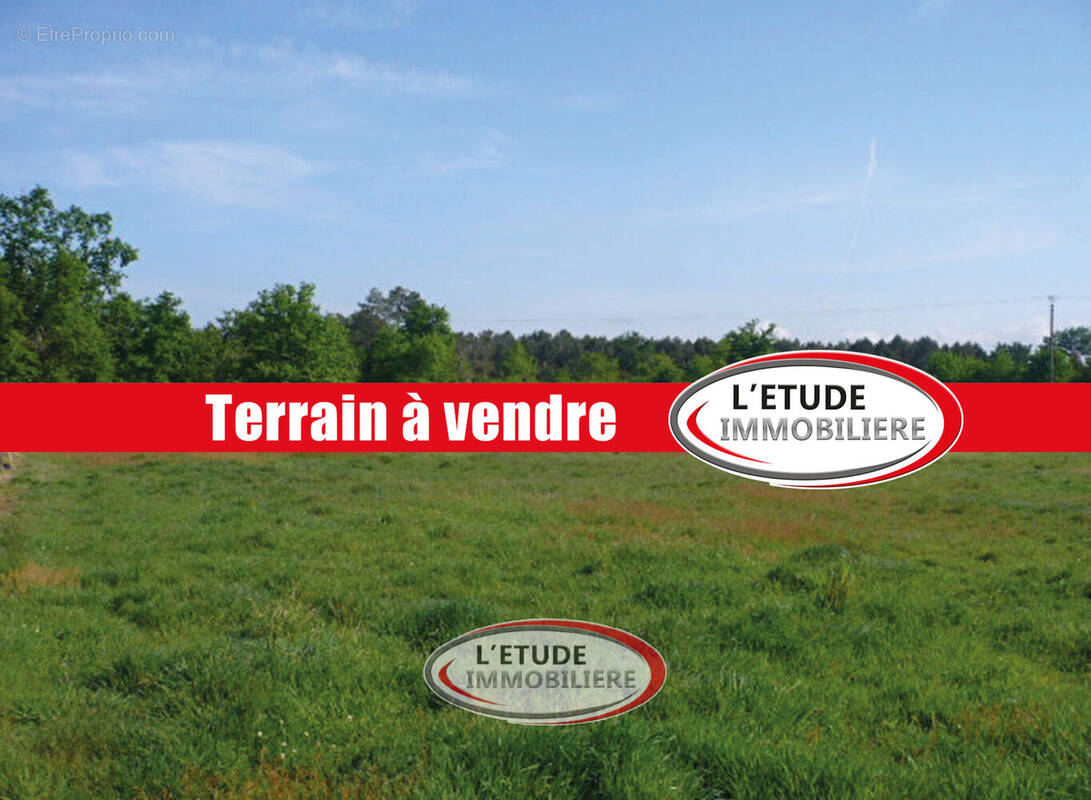 Photo 1 - Terrain à CARQUEFOU