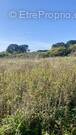 Terrain à GROIX