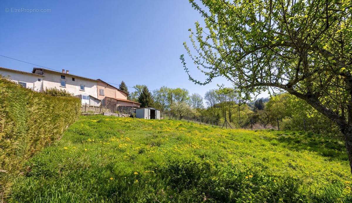 Charme et Potentiel au Coeur de la Nature à Violay - photo 5