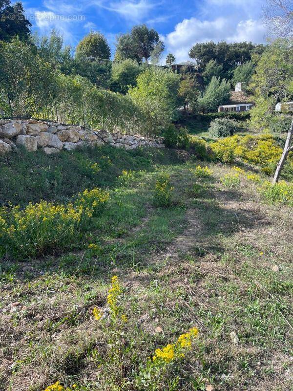 Terrain à MANDELIEU-LA-NAPOULE