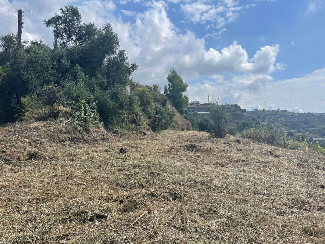 Terrain a vendre nice ouest cremat - photo 5