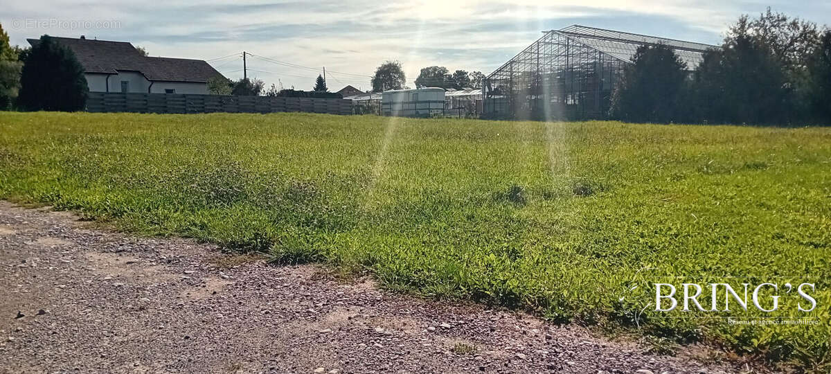 Terrain à GIRECOURT-SUR-DURBION