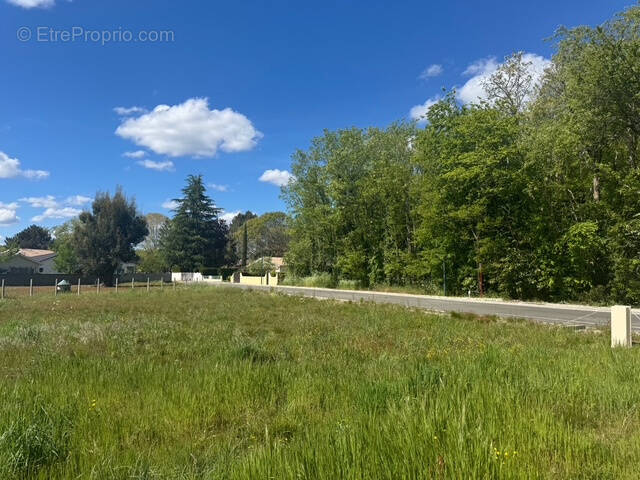 Terrain à SAINT-AUBIN-DE-MEDOC