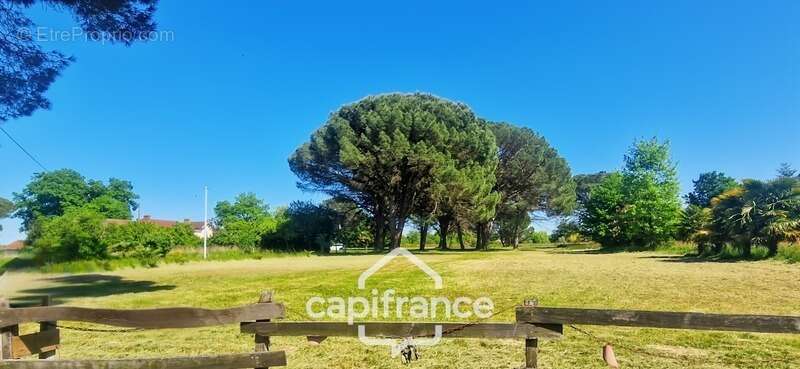 Maison à SAINTE-CHRISTIE-D&#039;ARMAGNAC