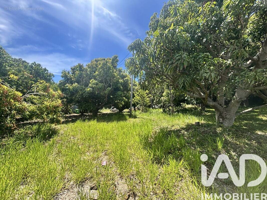 Photo 1 - Terrain à SAINT-PIERRE