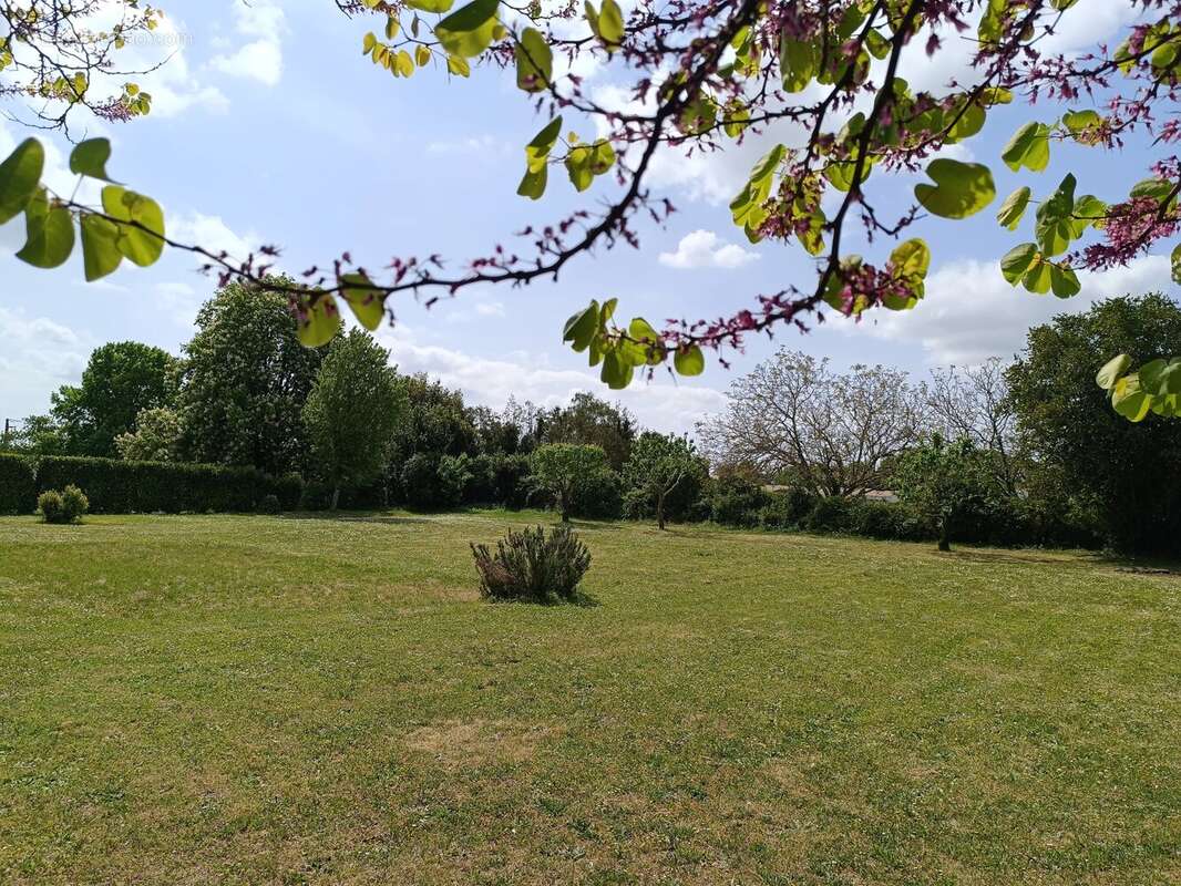 Maison à BLANZAC-LES-MATHA