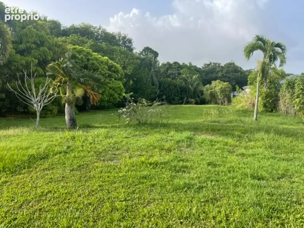 Maison à vendre 3 pièces GOYAVE (971) - photo 8