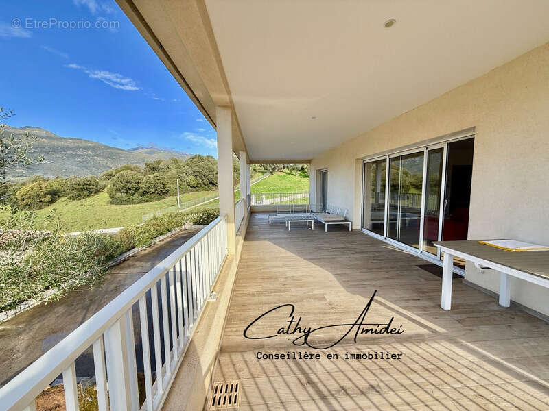 VIGGIANELLO (Corse) : Villa type T3 + appartement T2, grande terrasse, garage fermé et vaste atelier, proche plages et centre-vi - photo 2