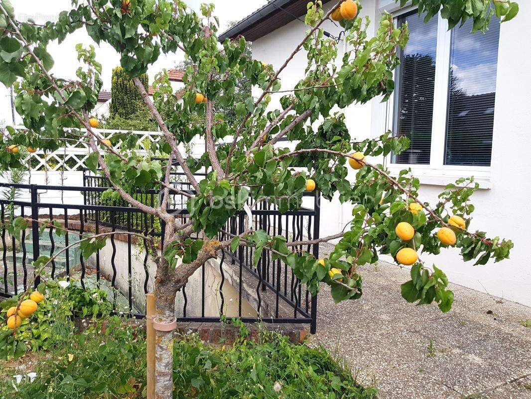 Commerce à SAVIGNY-SUR-ORGE