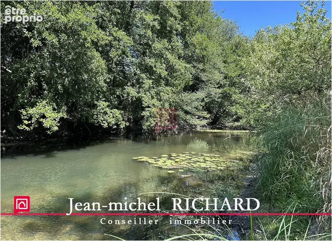 Terrain de loisirs SAULDRE Selles Sur Cher 6000 m2 - photo 4