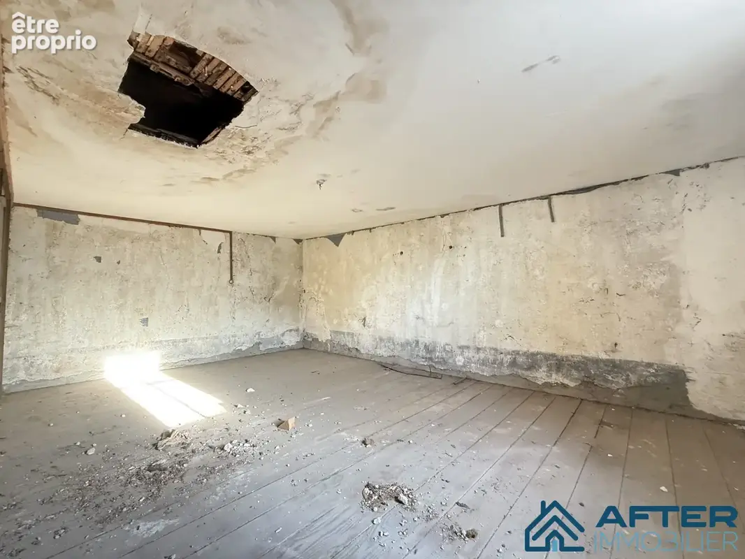 Maison 237 m² à Xermamenil  - photo 2