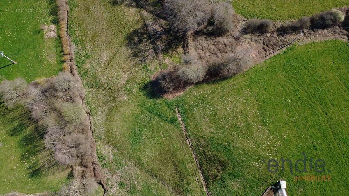 Terrain à BELMONT