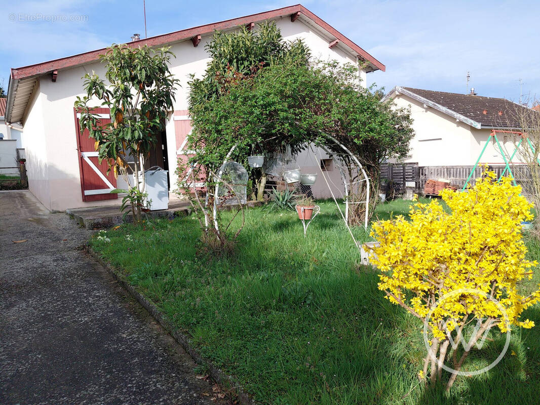 Maison à PONT-EVEQUE